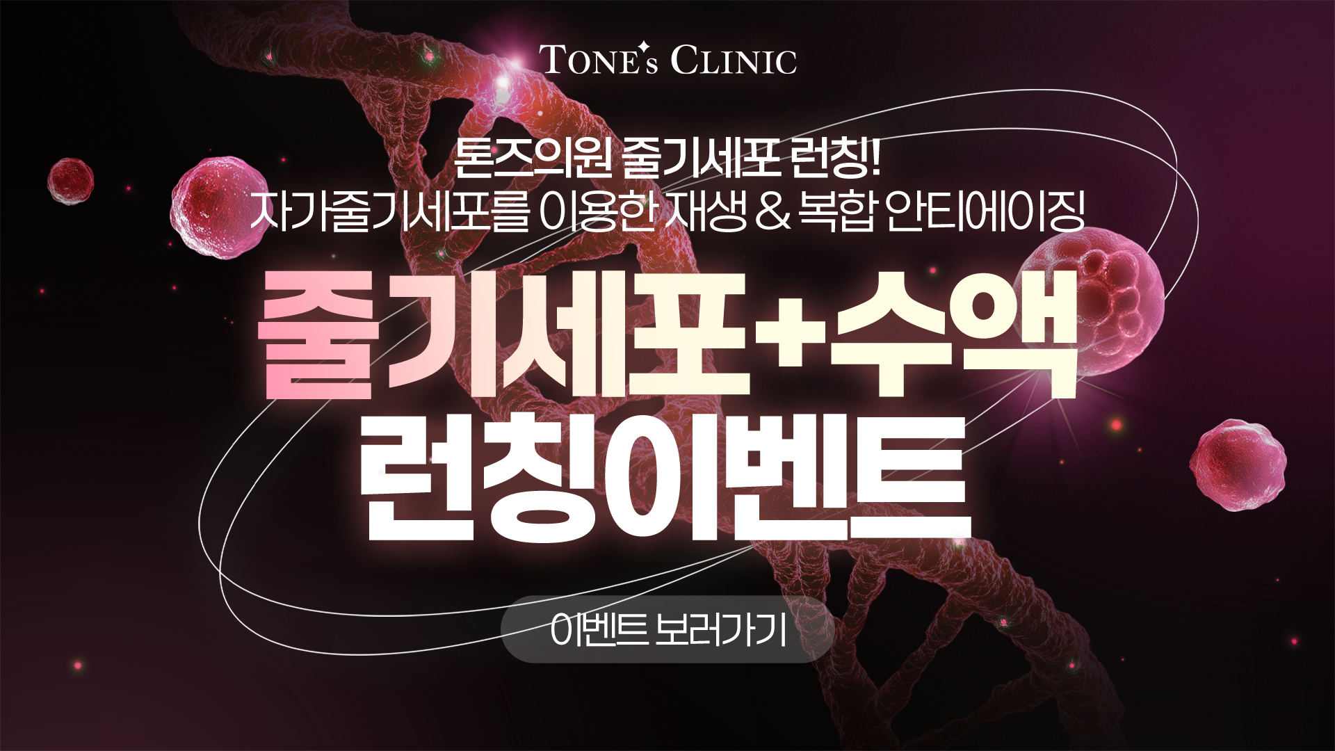 팝업